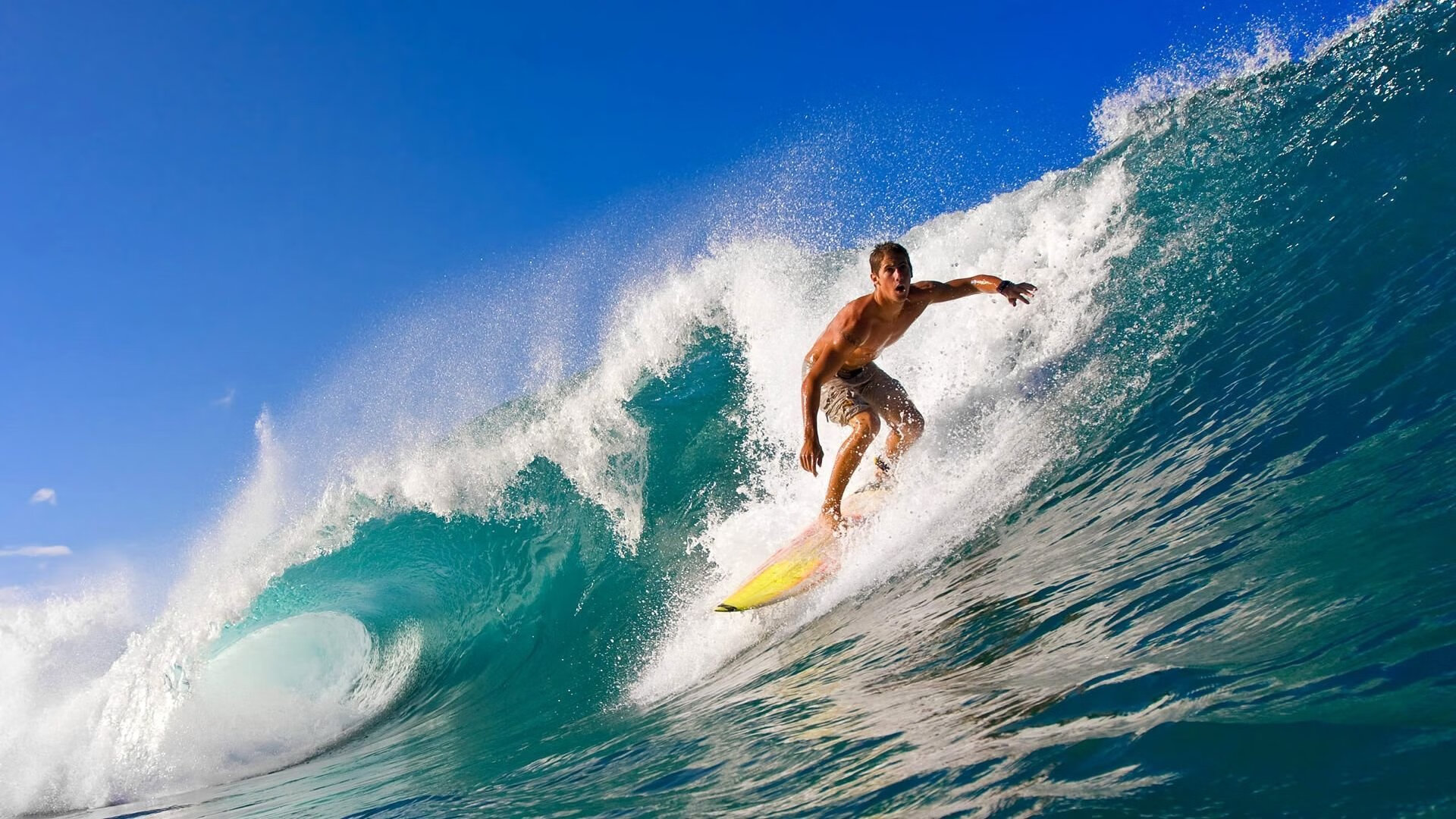 运动员退役转型导师公开课 搭配小型示范赛分享经验